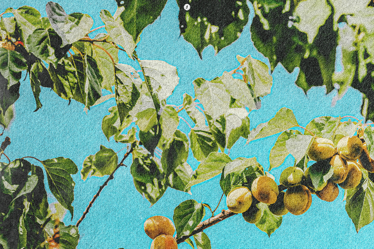 Postcard Print Photo Effect, a Texture Graphic by Freezerondigital (Photo 11 of 18)