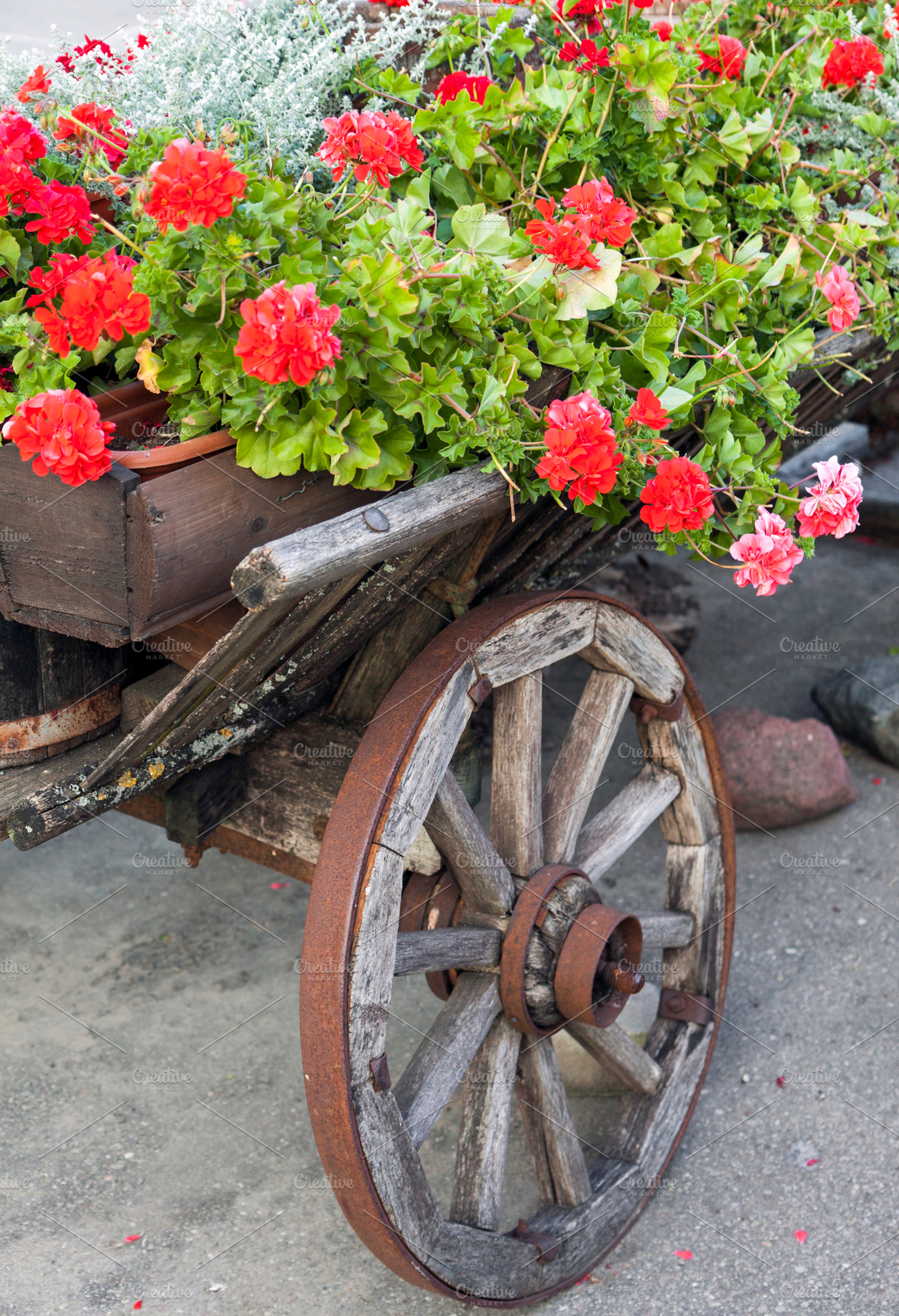 Wooden cart with flowers, an Architecture Photo by BOOCYS