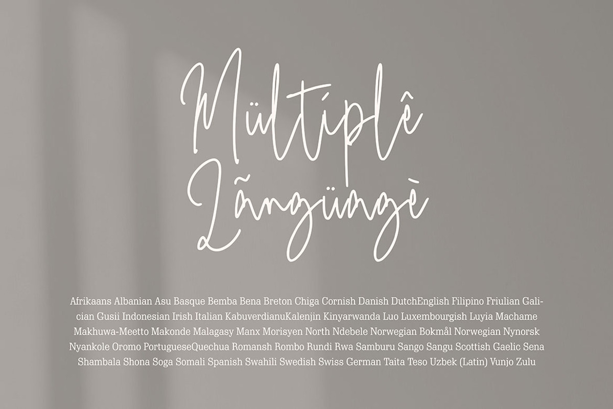 Ursie Bellove - Monoline Signature, a Handwritten Font by tebaltipislab (Photo 5 of 10)
