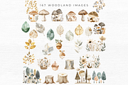 Woodland Animal Clipart, an Animal Illustration by EllyandLima (Thumbnail 7 of 10)