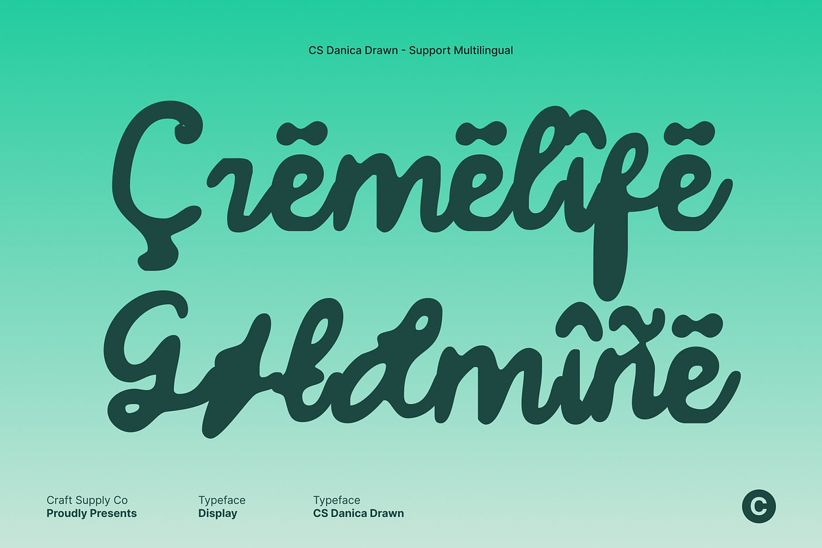 CS Danica Drawn, a Script Font by Craft Supply Co. (Photo 6 of 8)