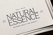 GC Marone - Elegant Essential Serif, a Serif Font by Glyphonic (Thumbnail 15 of 15)