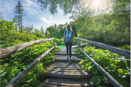 Young woman with backpack on wooden, a Person Photo by den-belitsky