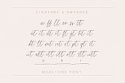 Mealtone Signature Script Font, a Script Font by Typebae (Thumbnail 7 of 8)