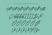 Mr. Skywhale Signature Script Font, a Handwritten Font by ashenterprise (Thumbnail 15 of 16)