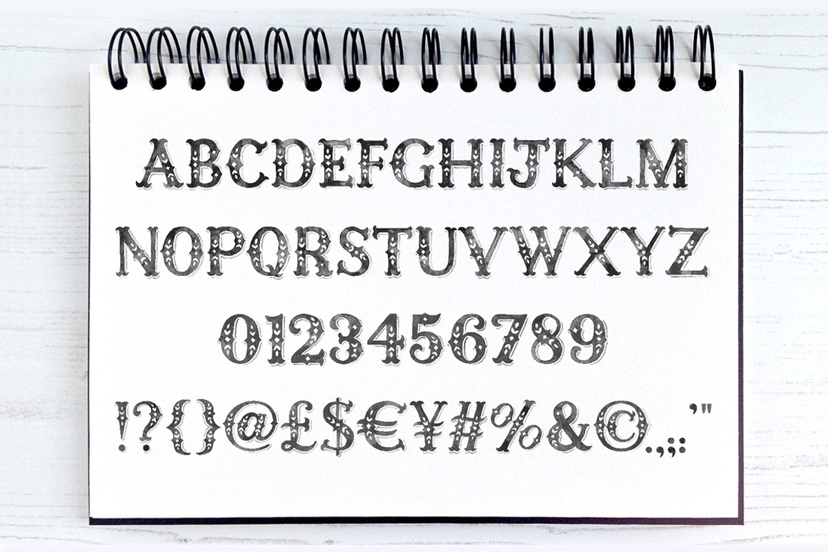 Charlie Watercolour Display Font preview 2