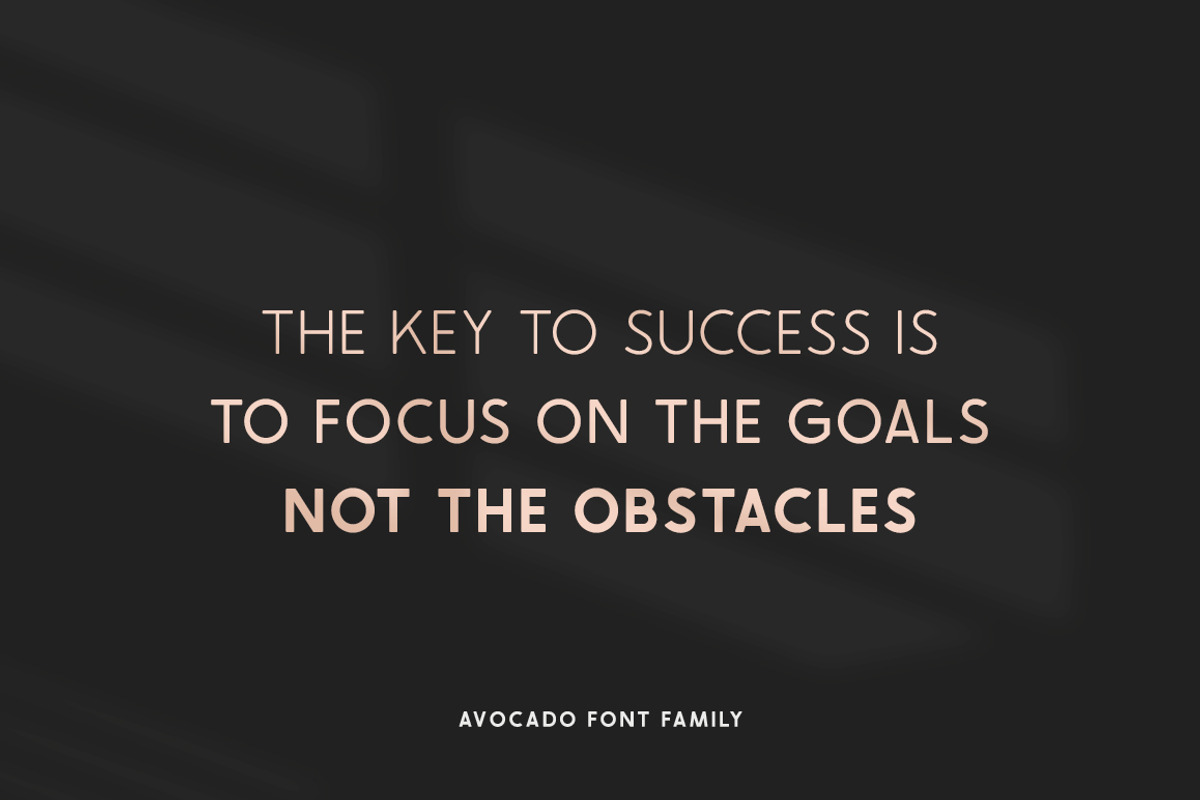 Avocado Sans Font Family preview 3