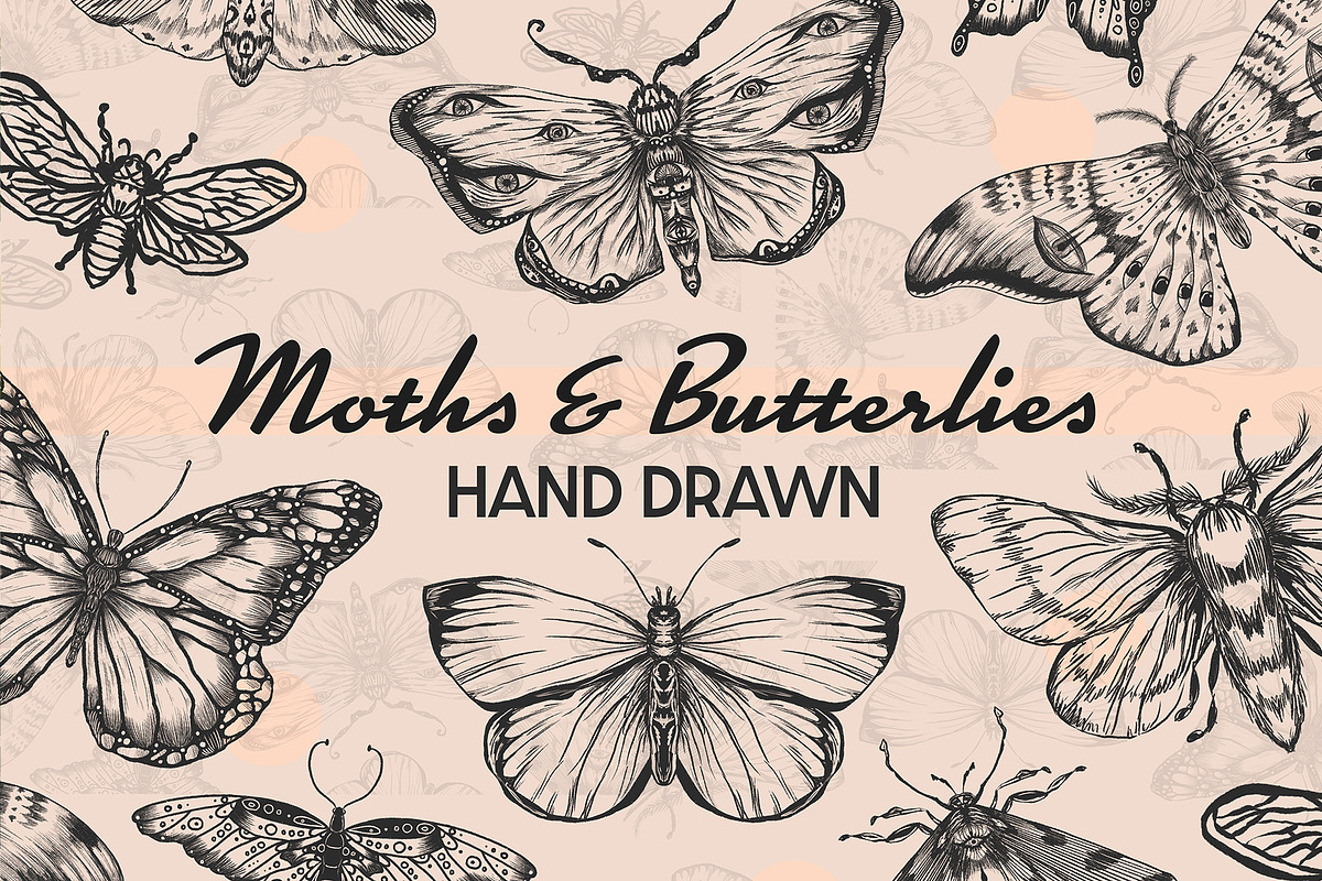 Butterfly moths bugs Procreate Stamp, a Brush Add-On by MakeMyPlaceDesign (Photo 1 of 3)