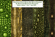 Crocodile or Alligator Skin Patterns, a Pattern Graphic by karenfoleyphoto (Thumbnail 1 of 9)