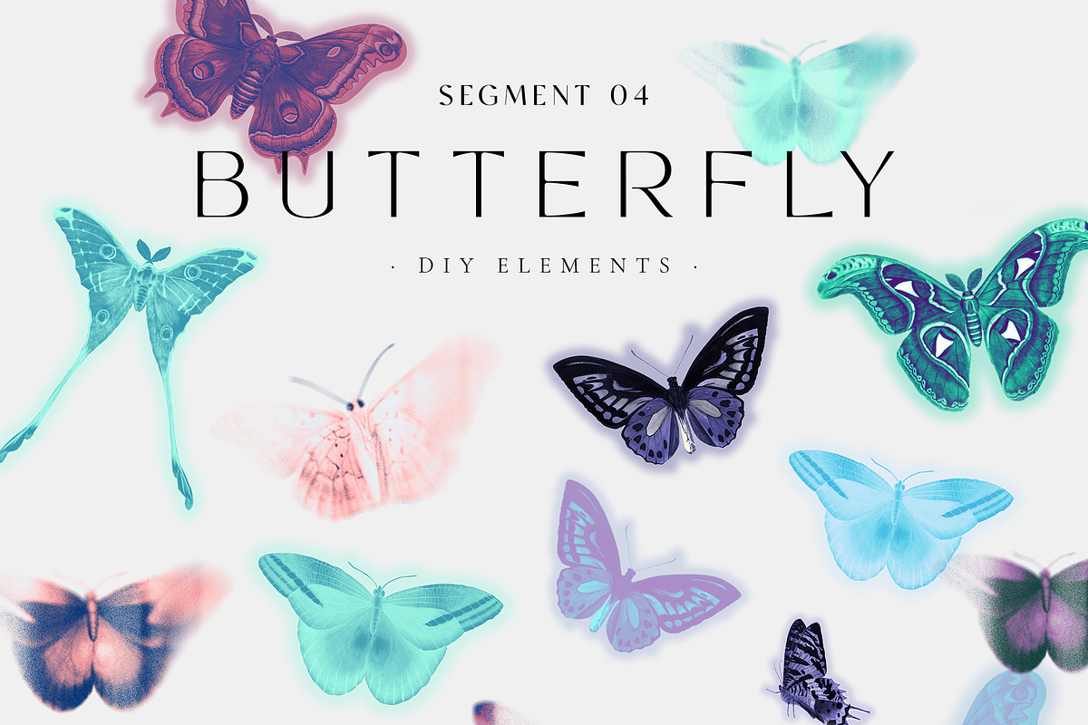 SPIRITUAL DESIGNER LIBRARY, an Object Graphic by Lana Elanor (Photo 21 of 27)