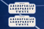 Delva - Display Typeface Font, a Font by Flawless And Co (Thumbnail 9 of 10)