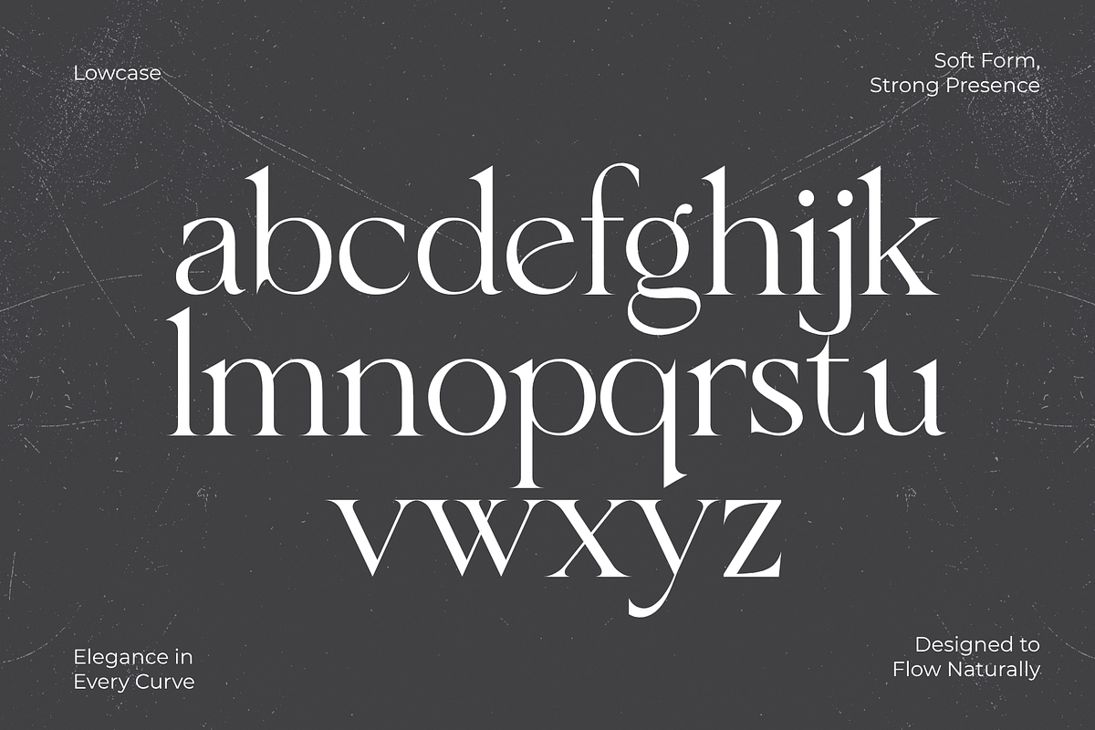Qellon – Elegant Modern Serif, a Serif Font by MaikoHatta (Photo 5 of 7)