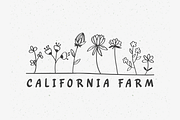Cacarolla - Handwritten Script Font, a Handwritten Font by Artolabs (Thumbnail 3 of 11)