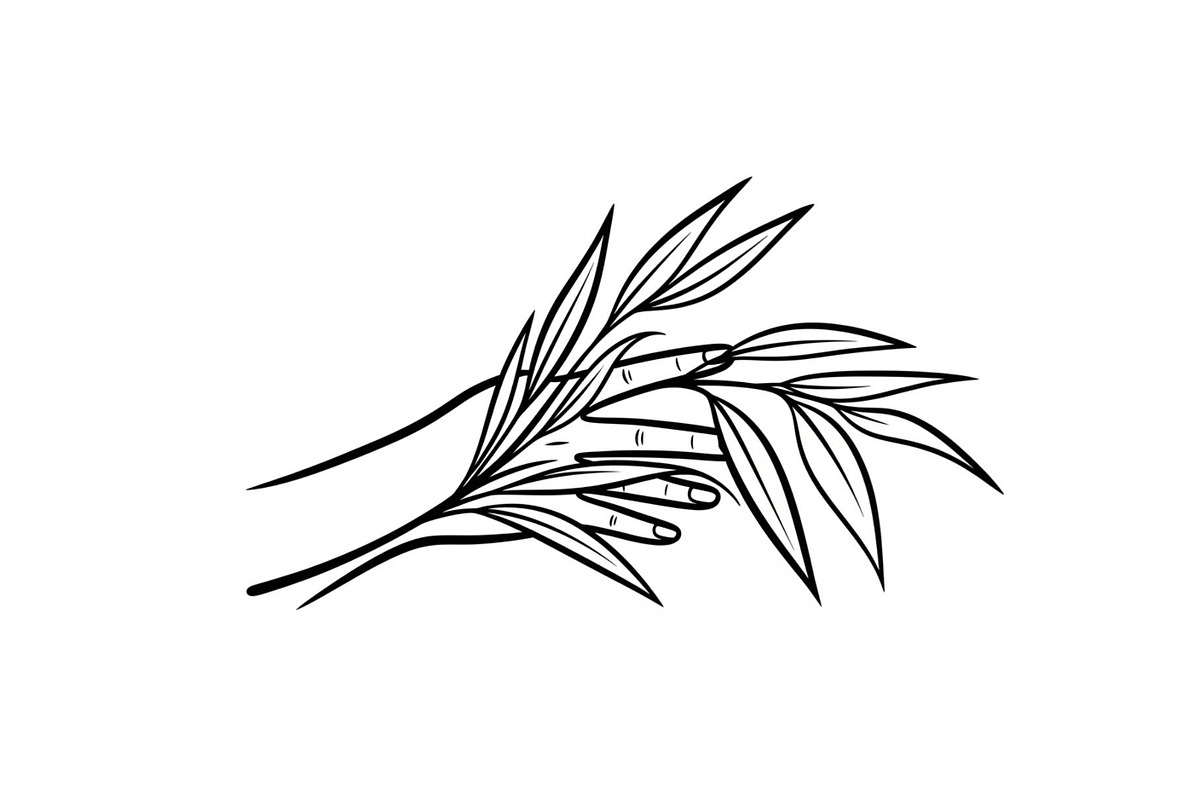 Hand Plant Growth Bundle, an Illustration by yasushie (Photo 2 of 31)