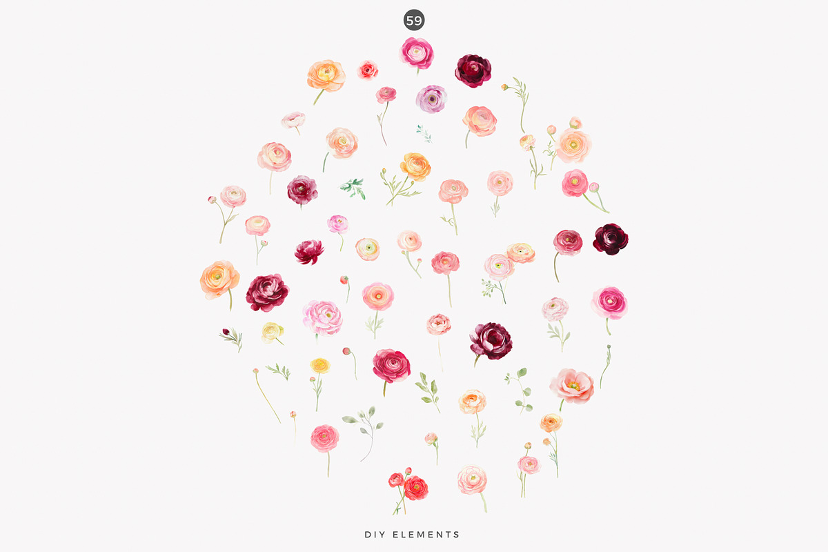 watercolor ranunculus clipart set, a Decorative Illustration by Patishop Art (Photo 10 of 10)
