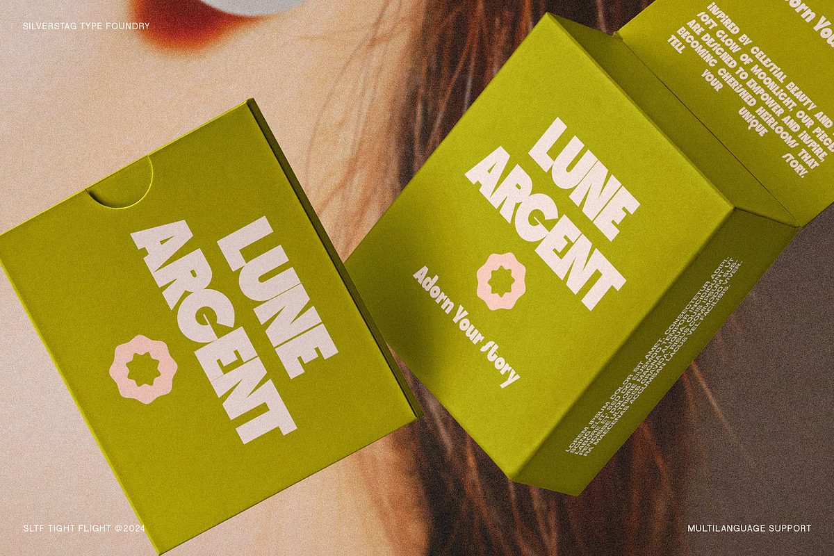 SLTF Tight Flight - Bold Funky Font, a Sans Serif Font by SilverStag Type Foundry (Photo 13 of 19)