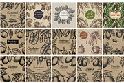 Hand drawn vector plants, a Food Illustration by SHom (Thumbnail 16 of 17)