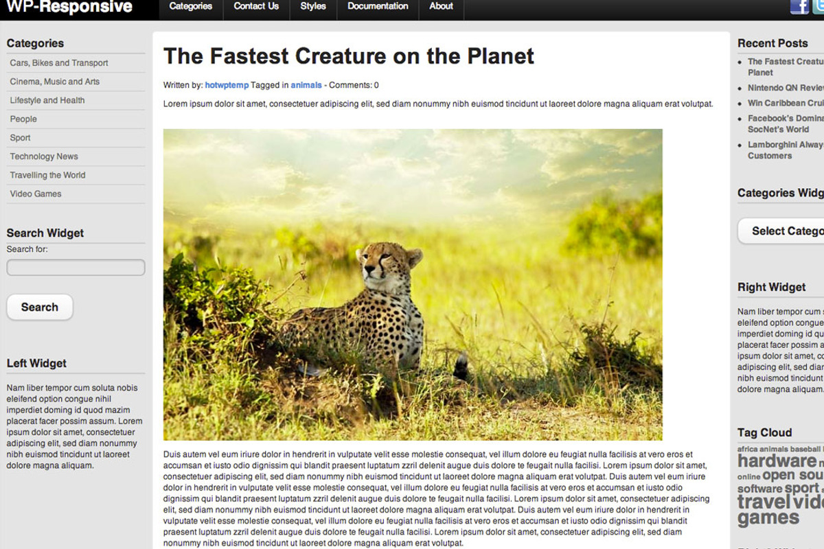 Hot Responsive, a WordPress Template by hot-themes (Photo 5 of 5)