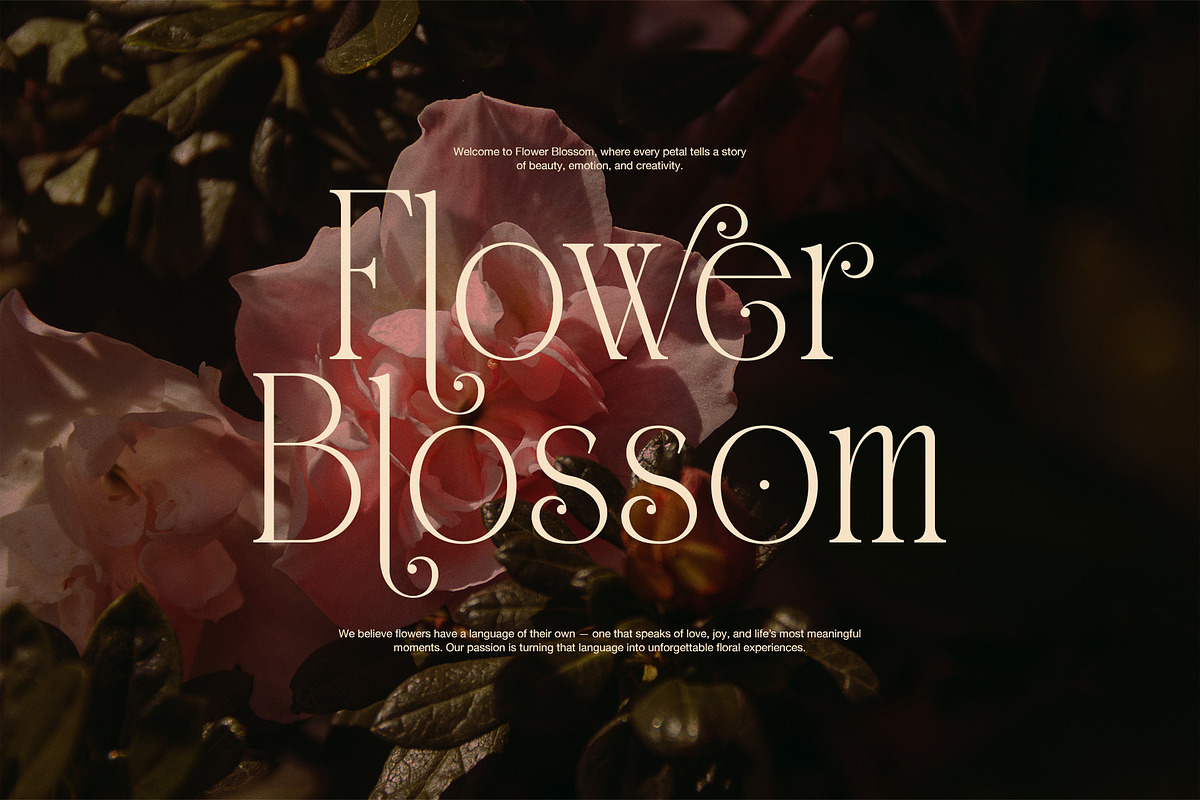 Sagiten Elegant Display Serif Font, a Serif Font by Graphicxell (Photo 6 of 8)