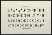 Deiloya | Classic Serif Typeface, a Serif Font by gracetype_studio (Thumbnail 11 of 12)