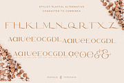 Royale Luxurious Typeface + LOGOS, a Serif Font by Creative Corner (Thumbnail 26 of 28)