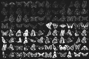 Butterflies Set 1-5 Procreate Brush