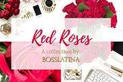 Red Roses Collection, a Business Photo by yamilette.platero (Thumbnail 1 of 6)