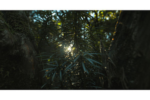 Close-up View On Japanese Plum Yew, a Graphic by Our Amazing World