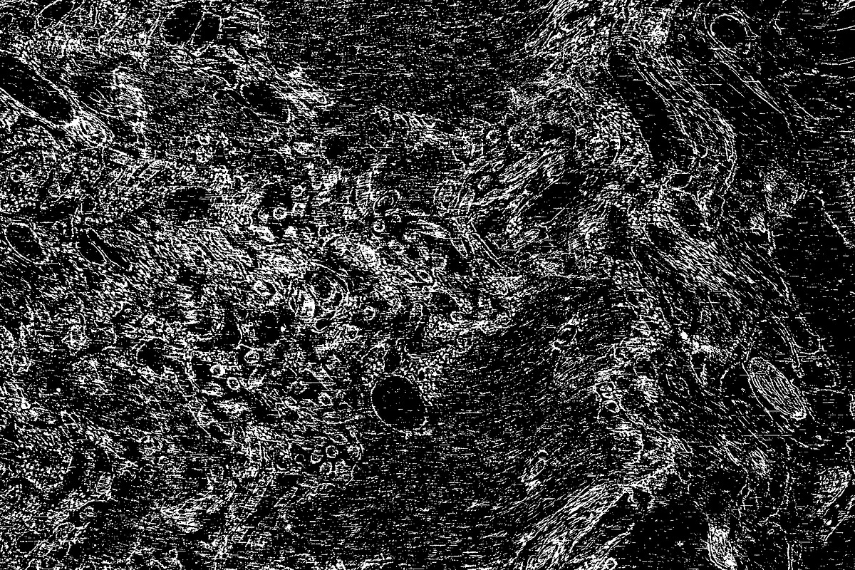 Lilliputian, a Texture Graphic by Jennifer Lauren Creative (Photo 19 of 28)