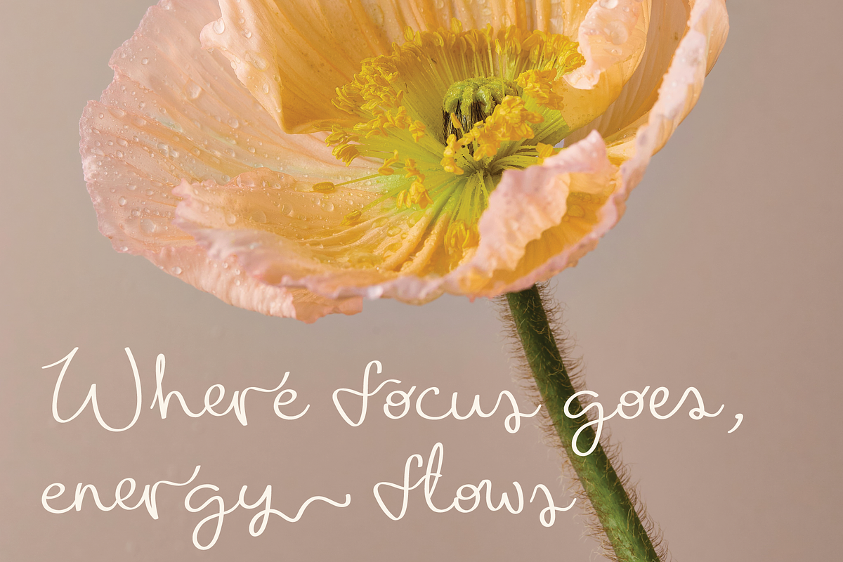Monterey | Handwritten Script Font, a Handwritten Font by Monterey Studio (Photo 2 of 15)