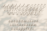 Rulio Monoline Font, a Script Font by Creative Foundry (Thumbnail 9 of 9)
