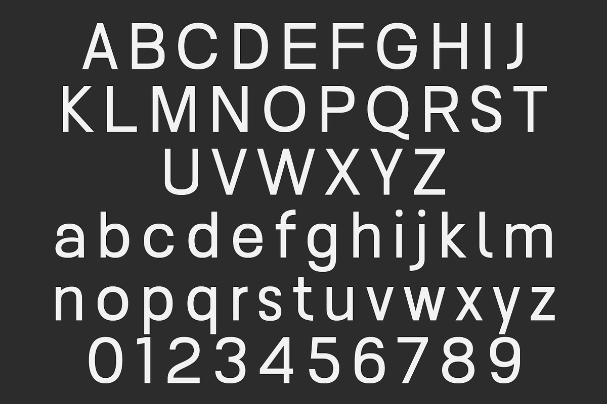 Nalte Sans Family | Intro 60% OFF, a Sans Serif Font by Lettertype Studio (Photo 9 of 15)