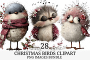 Christmas Birds Clipart, an Illustration by Craft Nest (Thumbnail 1 of 9)