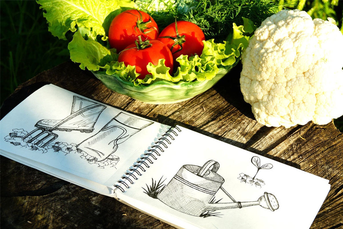 Big set Gardening!, an Illustration by TashaDraw (Photo 4 of 9)