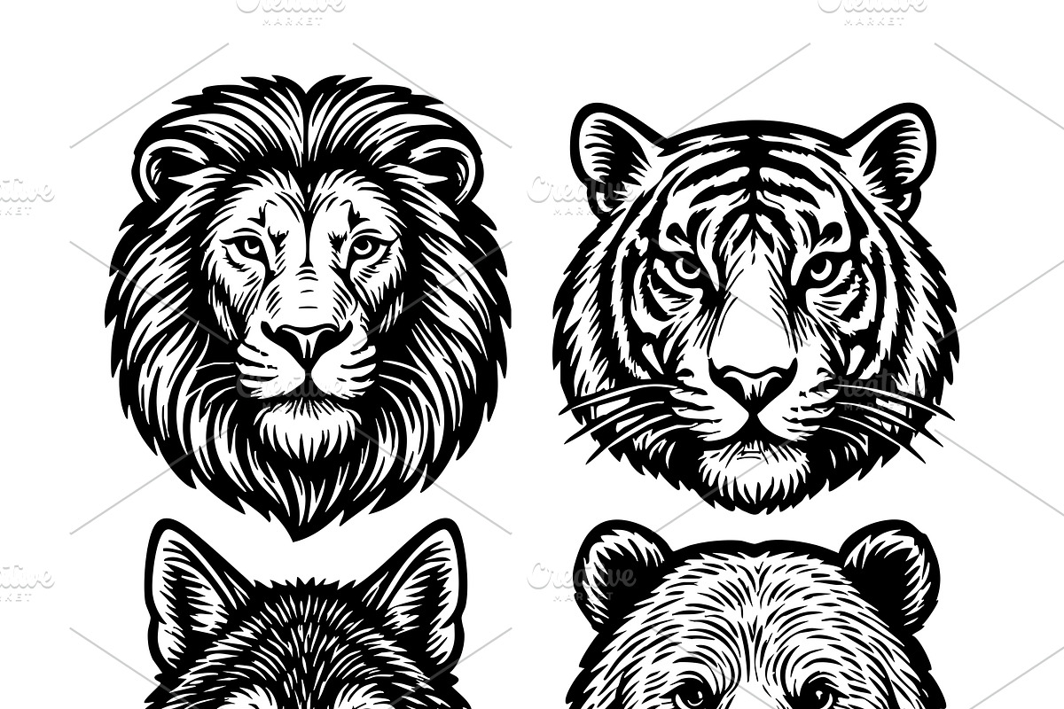 lion, tiger, wolf, and bear heads., an Animal Illustration by yod67