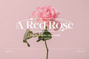 Legquinne 50% Off, a Font by Jolicia Type (Thumbnail 3 of 13)
