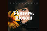 Mekinc Elegant Serif Font, a Serif Font by Graphicxell (Thumbnail 3 of 8)