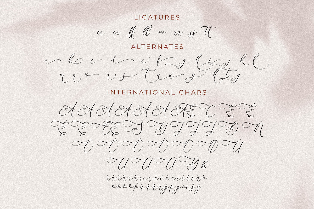 Andora Modern Font Duo, a Serif Font by Storytype Studio (Photo 6 of 15)