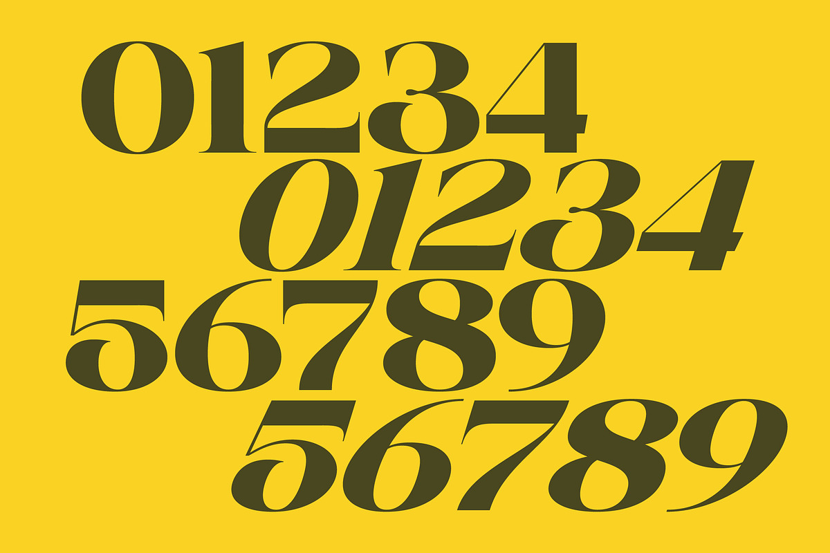 Broftin Resort Bold Serif Display, a Serif Font by timelesstype.co (Photo 12 of 20)