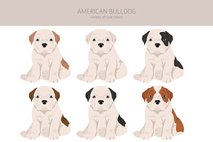 American Bulldog Clipart