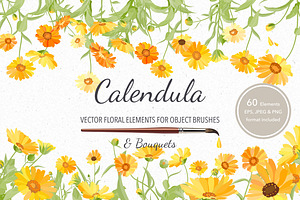 Vector object brushes. Calendula