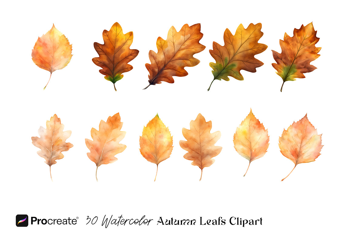 Watercolor Autumn Leaves Clipart, an Object Graphic by crafty (Photo 5 of 5)