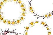 daffodil flower, an Illustration by OlyaSenko (Thumbnail 5 of 7)