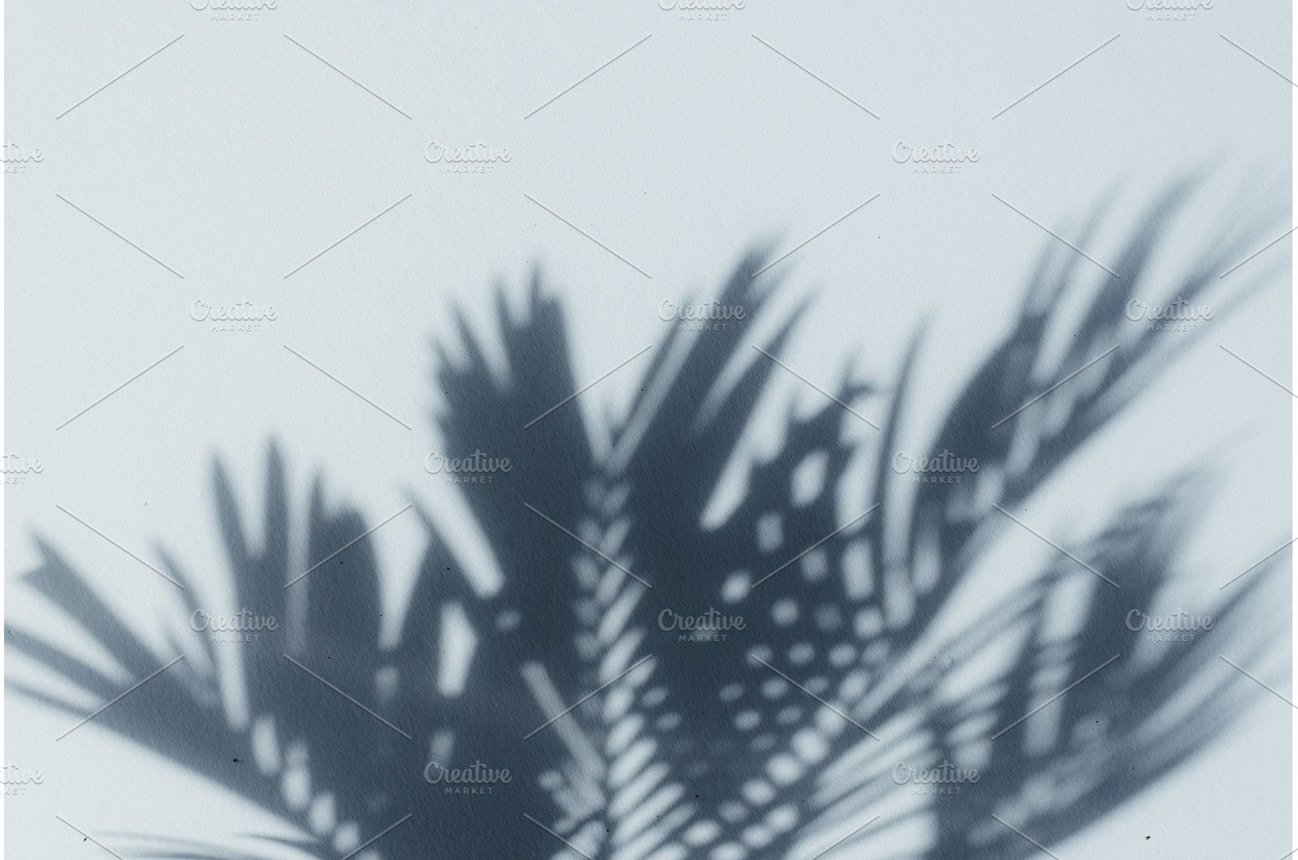 Palm leaf shadows on blue wall. Copy, a Nature Photo by Enjoy Photo