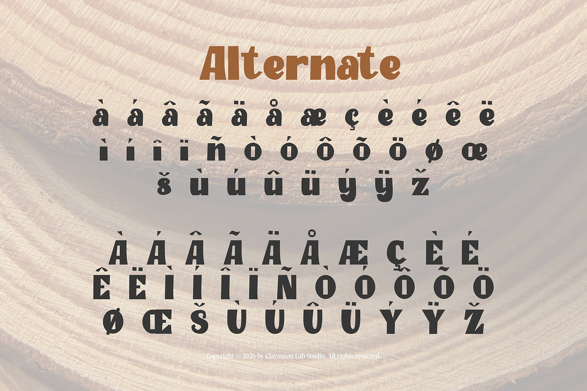 Clay Timber — Heavy Blocky Display, a Serif Font by Claymoon Lab (Photo 4 of 7)