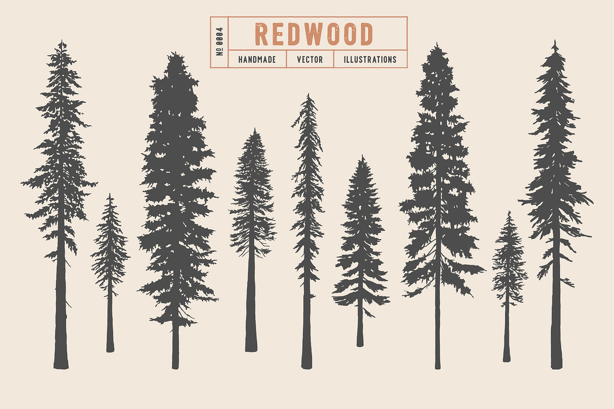 Woodland Tree Set | Illustrations, an Illustration by Max Lockwood (Photo 5 of 6)