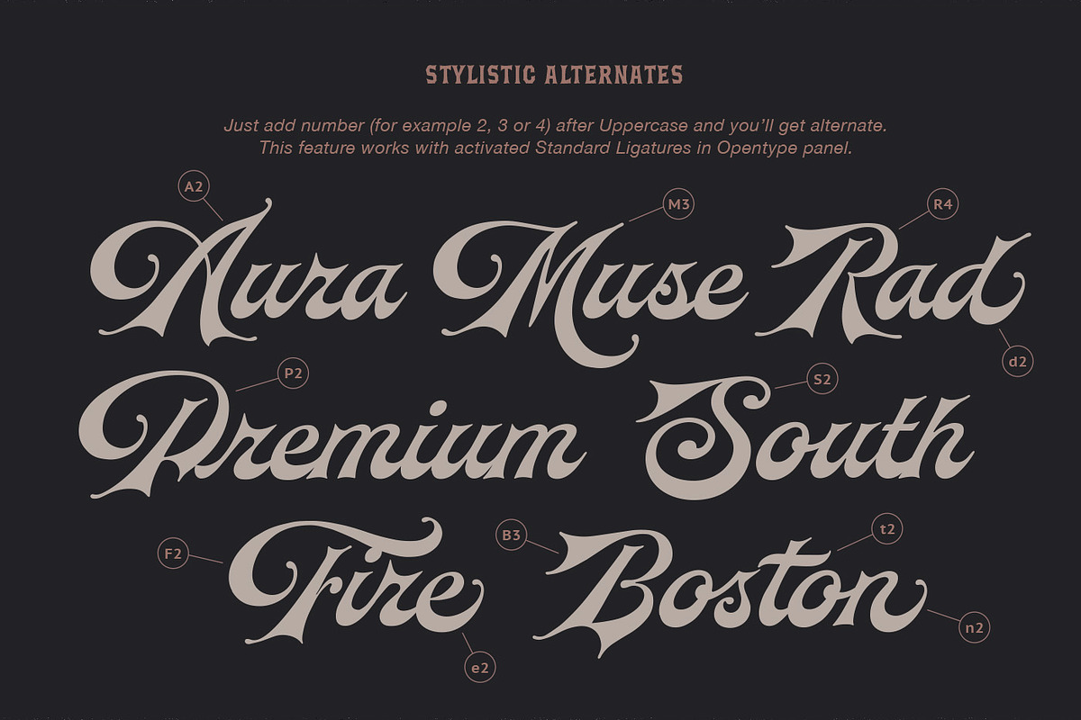 Brokson Script & Serif + Extras, a Serif Font by Andrey Sharonov (Photo 17 of 20)