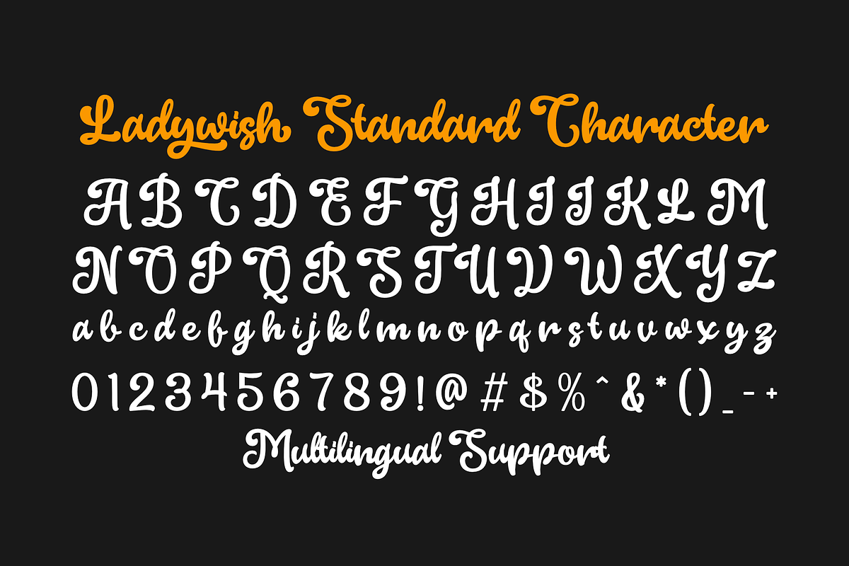 Ladywish, a Handwritten Font by ahweproject (Photo 7 of 8)