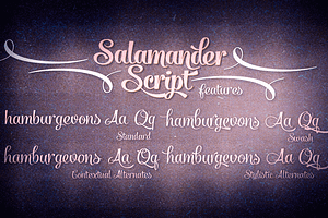 Salamander Script