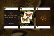 The Naturalist Social Media Bundle, a Social Media Template by The Flossy Finch (Thumbnail 8 of 22)